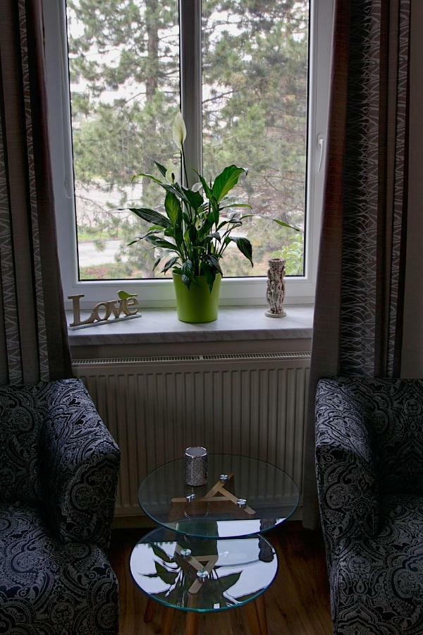 Luxusni Apartman Nmnm Family Nove Mesto na Morave Luaran gambar